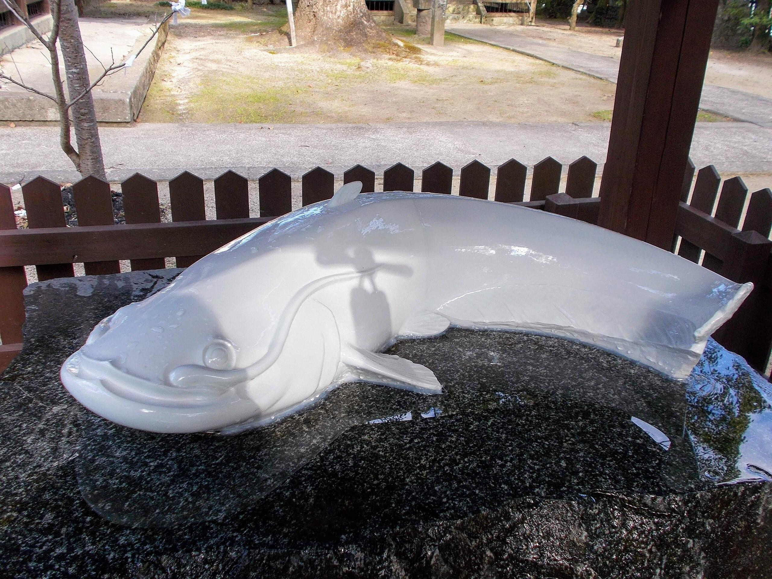 ⛩️ 토요타마히메 신사 (메기 신사) 이미지 7